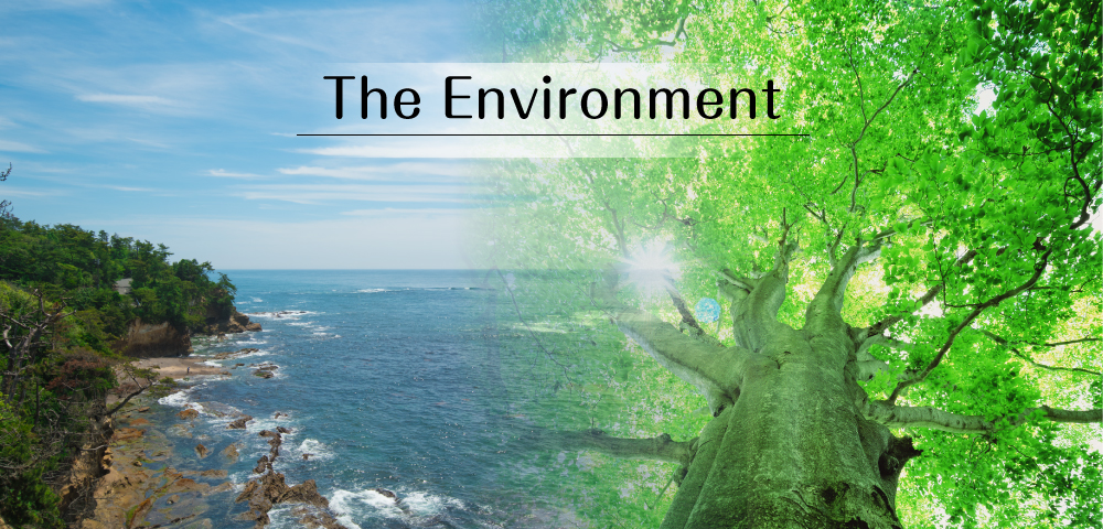 The Environment